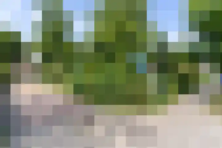 Meidoornpad 27 De Bilt thumbnail 37