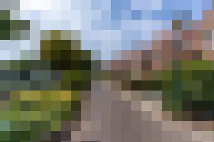 Meidoornpad 27 De Bilt thumbnail 39
