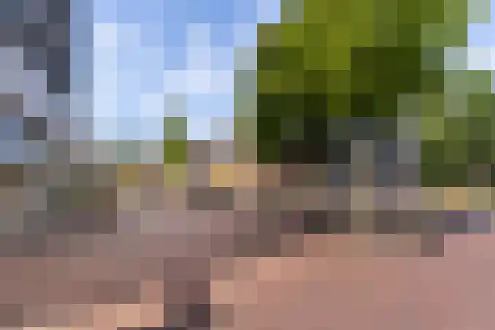 Meidoornpad 27 De Bilt thumbnail 40