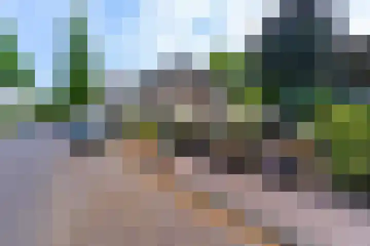 Meidoornpad 27 De Bilt thumbnail 42
