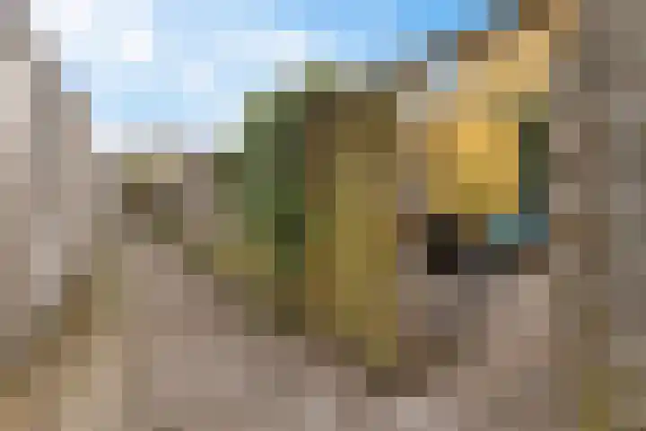 Meidoornpad 46 Groningen thumbnail 24