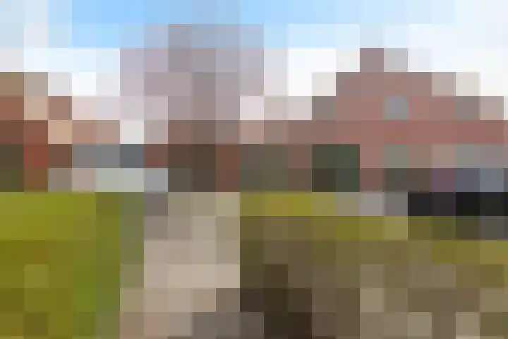 Meidoornpad 46 Groningen thumbnail 25