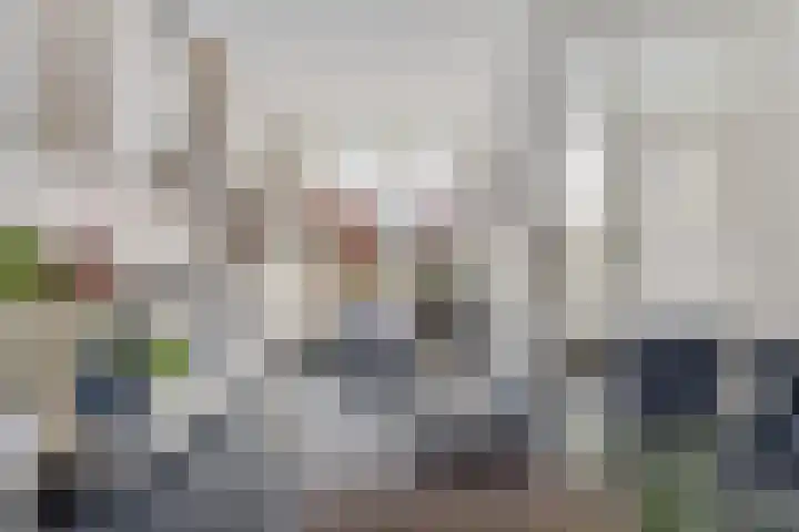 Meidoornpad 46 Groningen thumbnail 4