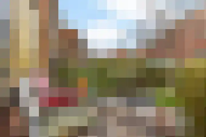 Meidoornpad 46 Groningen thumbnail 7