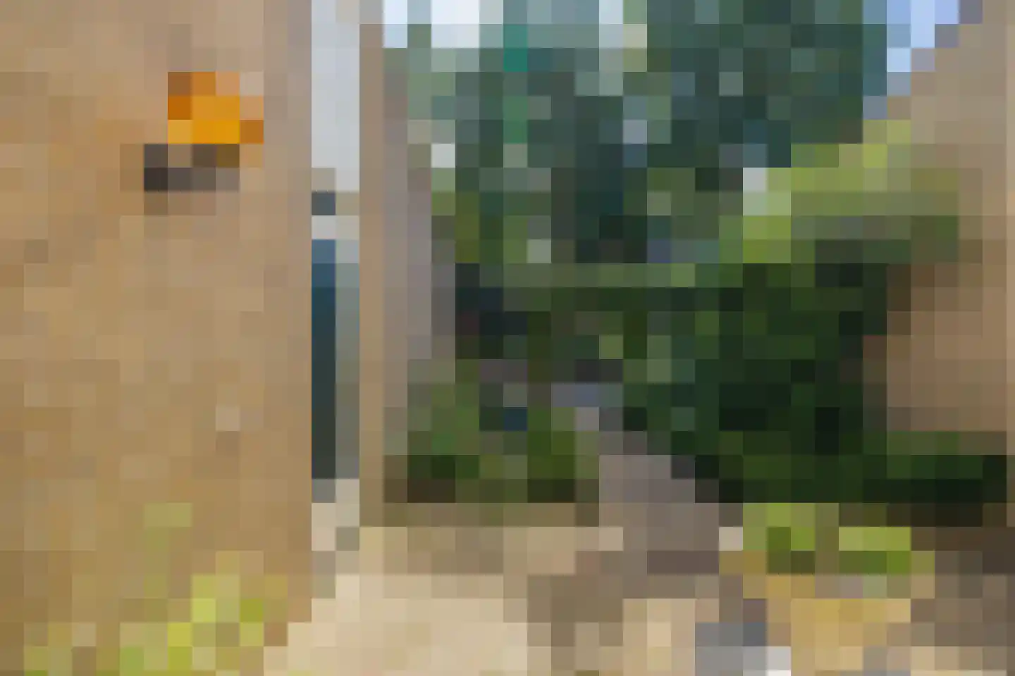 Meidoornplantsoen 32 Lisse thumbnail 4