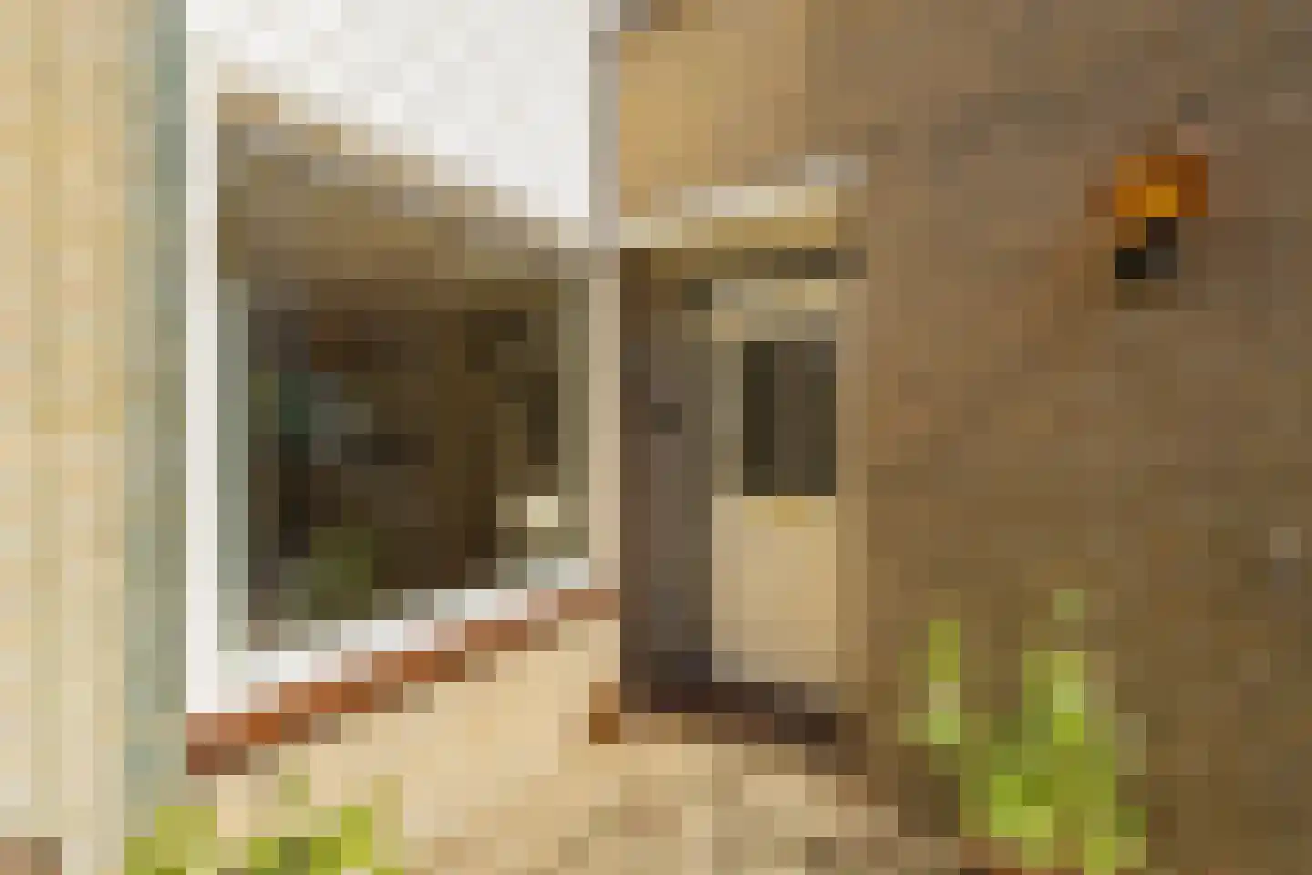 Meidoornplantsoen 32 Lisse thumbnail 6