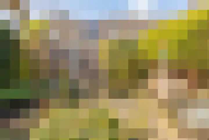 Meidoornplantsoen 40 Lisse thumbnail 26