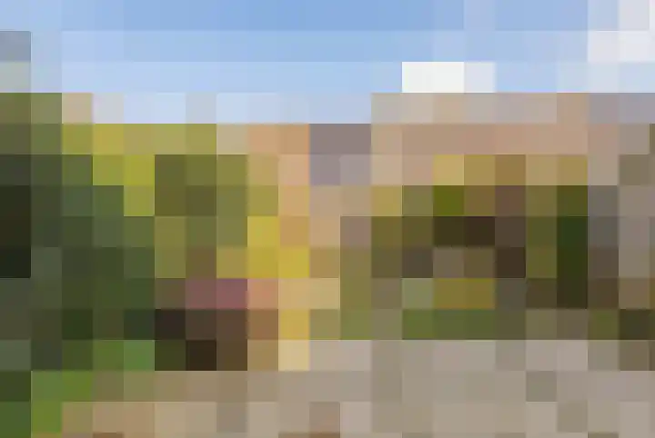 Meidoornplantsoen 40 Lisse thumbnail 4