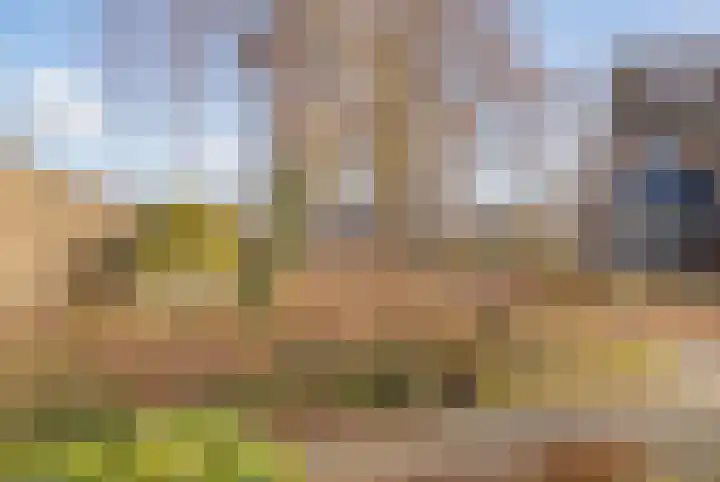 Meidoornplantsoen 40 Lisse thumbnail 5