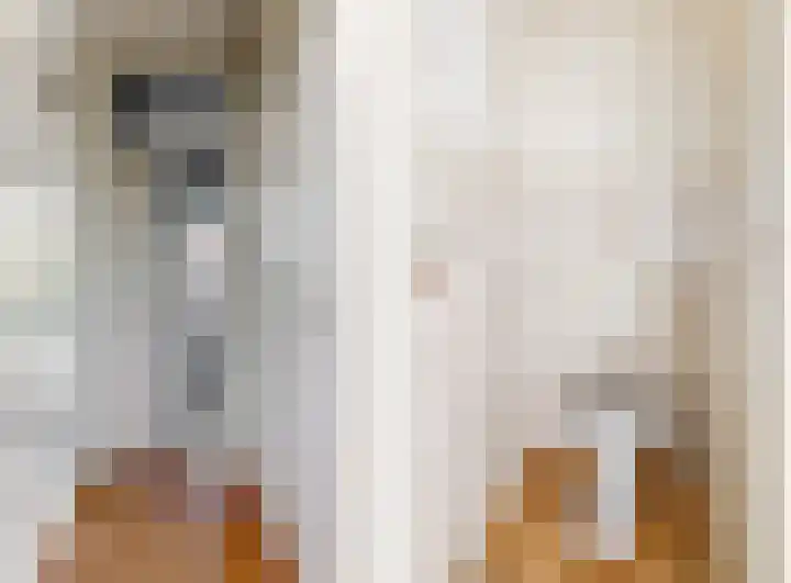 Meidoornplantsoen 57 Schoorl thumbnail 11