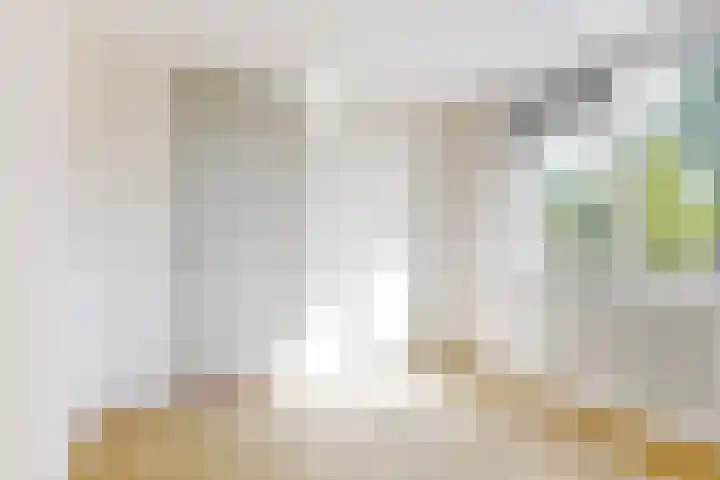 Meidoornplantsoen 57 Schoorl thumbnail 18