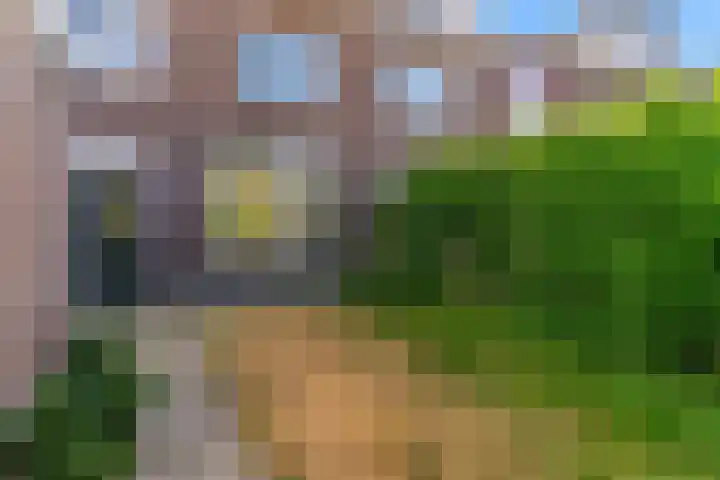 Meidoornplantsoen 57 Schoorl thumbnail 27