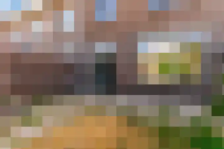 Meidoornplantsoen 57 Schoorl thumbnail 28