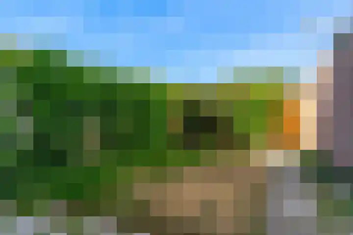 Meidoornplantsoen 57 Schoorl thumbnail 30