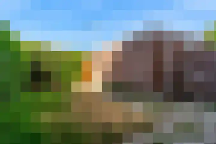 Meidoornplantsoen 57 Schoorl thumbnail 31