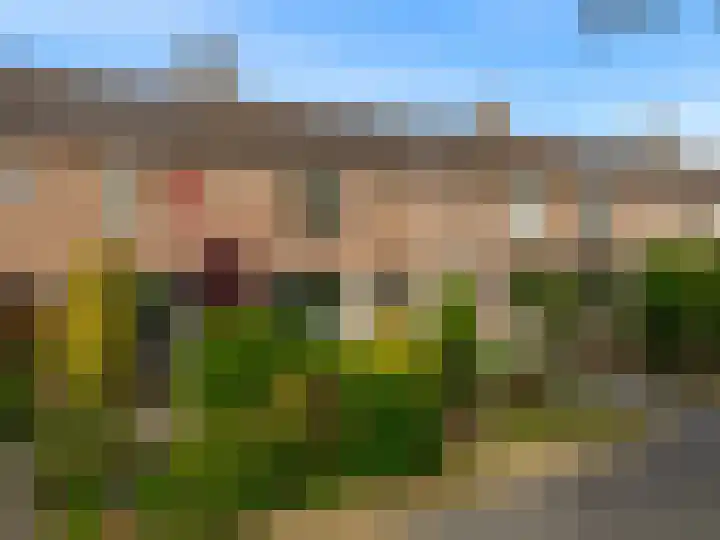 Meidoornplantsoen 57 Schoorl thumbnail 36