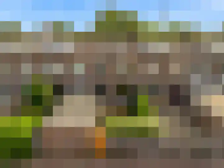 Meidoornplantsoen 57 Schoorl thumbnail 37