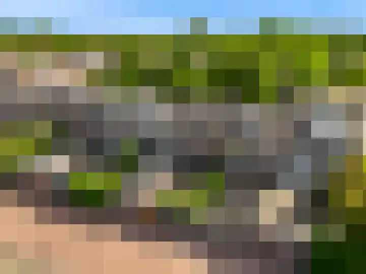 Meidoornplantsoen 57 Schoorl thumbnail 38