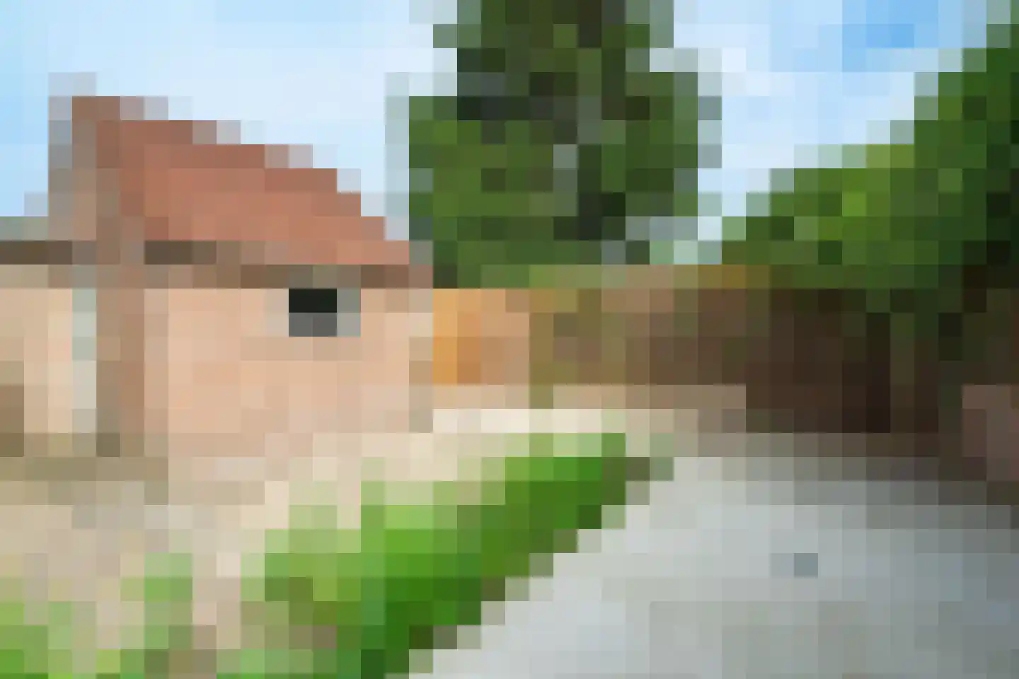 Meidoornplantsoen 7 Wageningen thumbnail 23