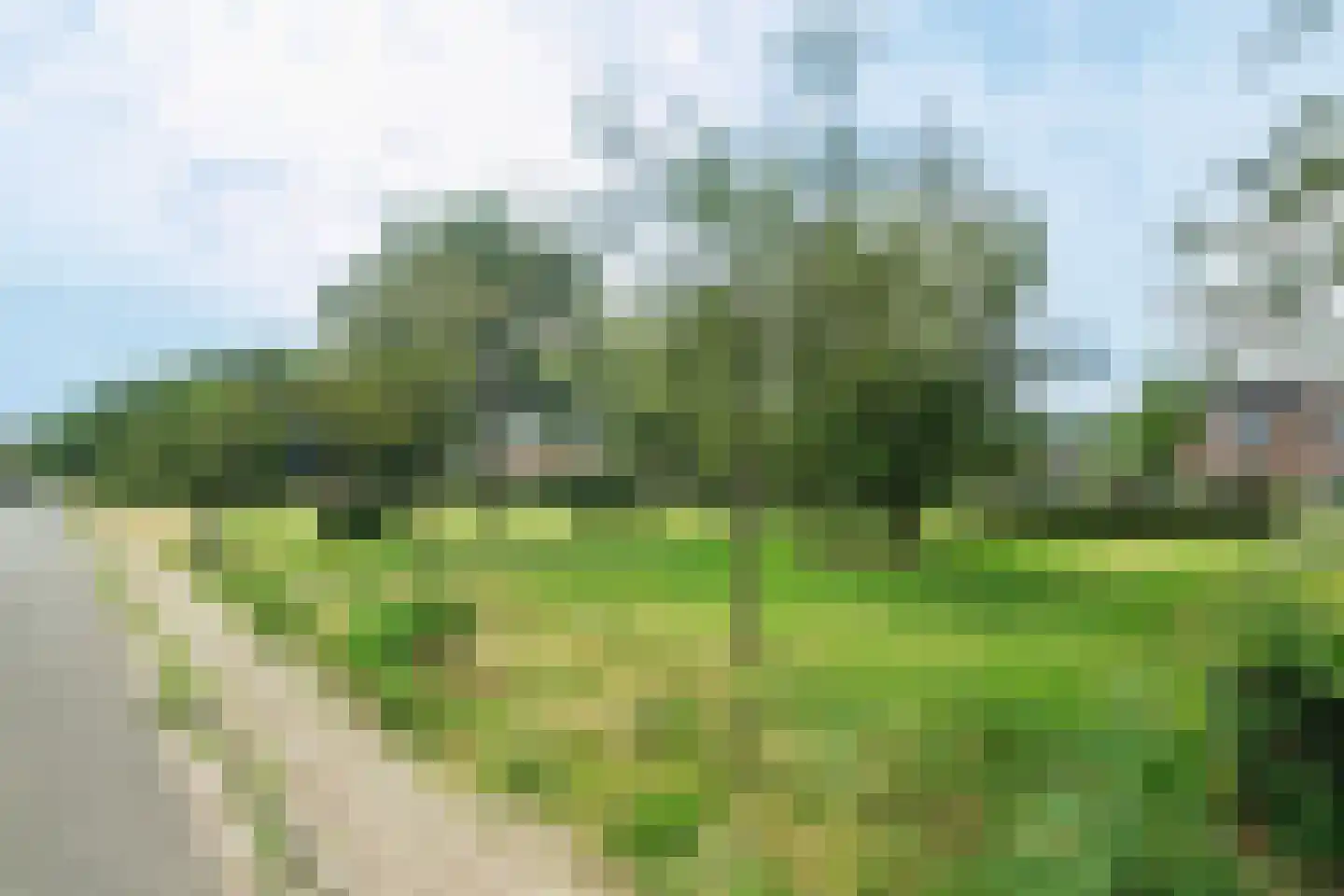 Meidoornplantsoen 7 Wageningen thumbnail 26