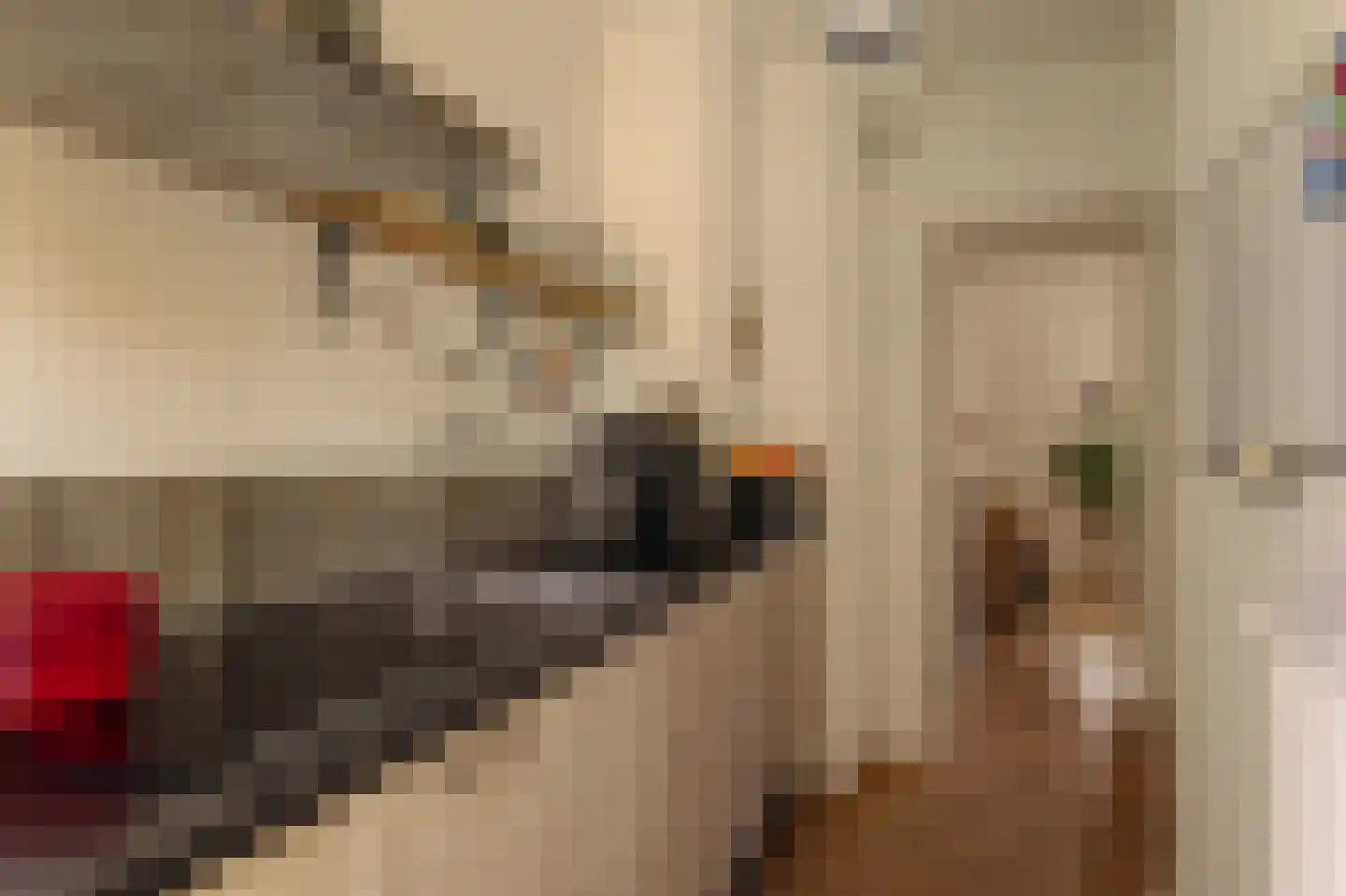 Meidoornplein 1 A Amsterdam thumbnail 11