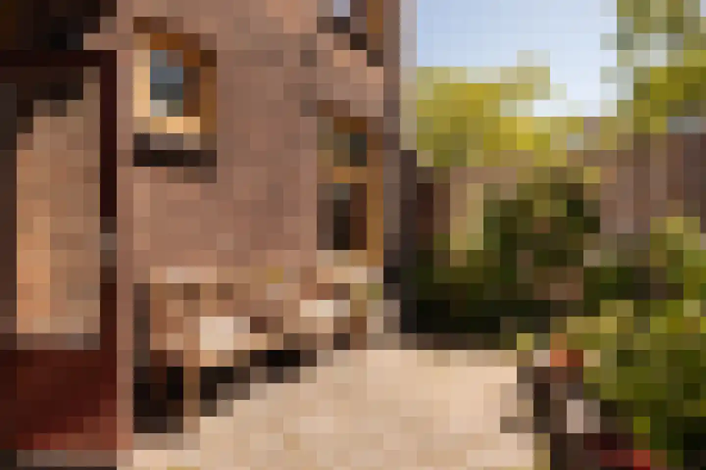 Meidoornplein 1 A Amsterdam thumbnail 9