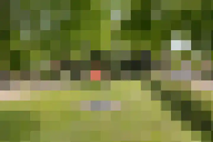 Meidoornplein 13 Eibergen thumbnail 28