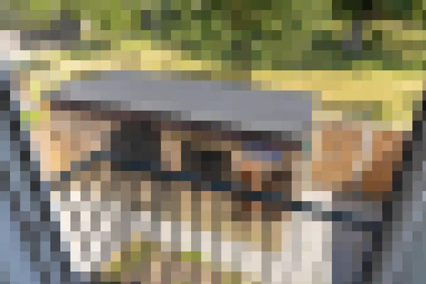 Meidoornplein 13 Purmerend thumbnail 32