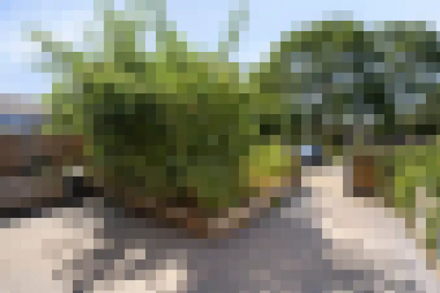 Meidoornplein 13 Purmerend thumbnail 8