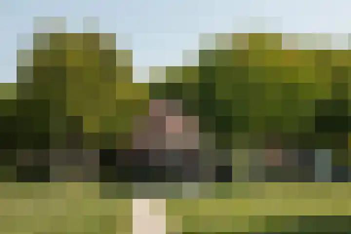 Meidoornplein 15 B Amsterdam thumbnail 21