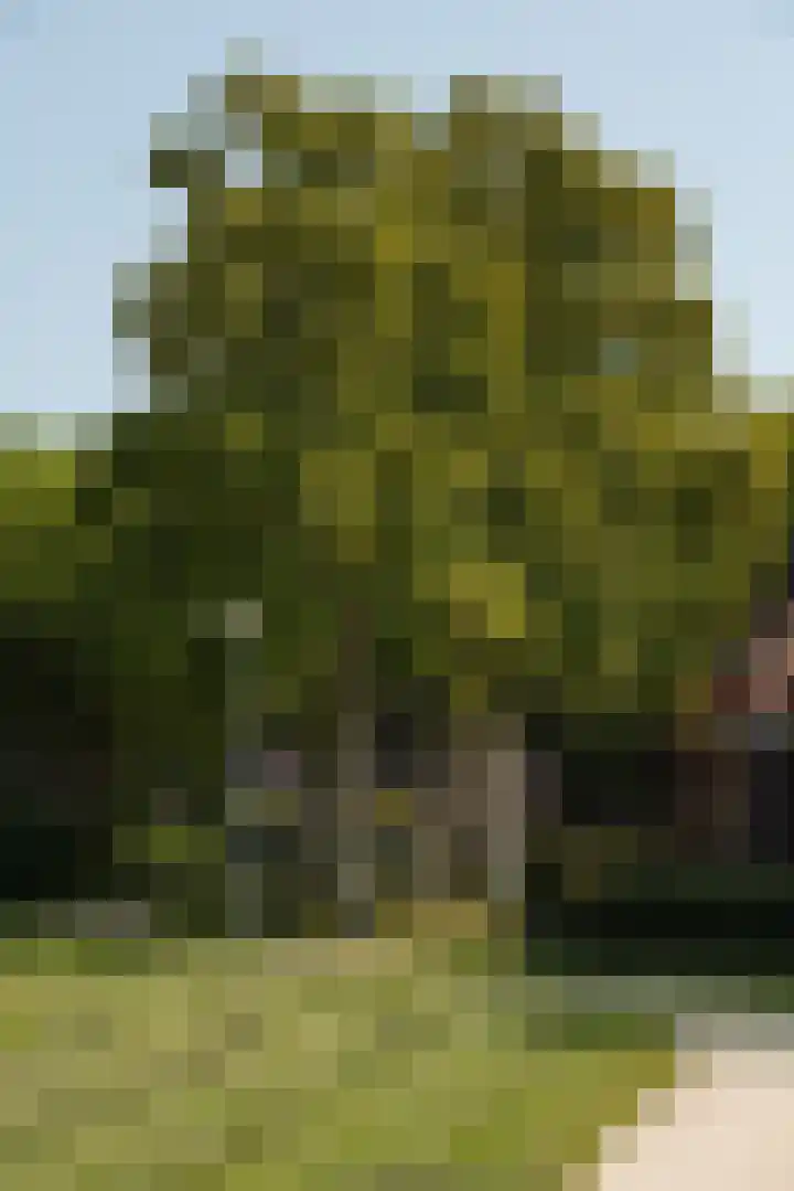 Meidoornplein 15 B Amsterdam thumbnail 22
