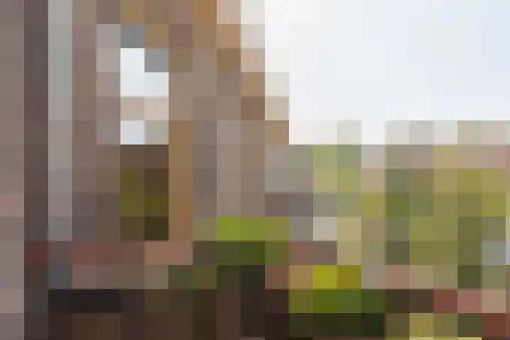 Meidoornplein 15 B Amsterdam thumbnail 7