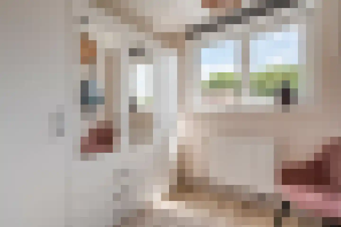 Meidoornplein 20 Zwolle thumbnail 22