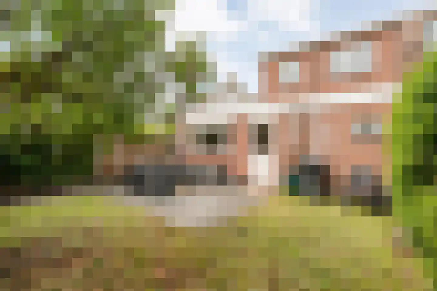 Meidoornplein 20 Zwolle thumbnail 26
