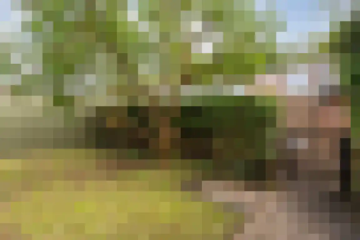 Meidoornplein 20 Zwolle thumbnail 27