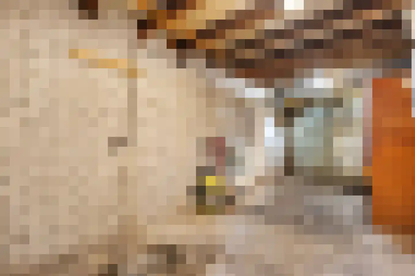 Meidoornplein 20 Zwolle thumbnail 30