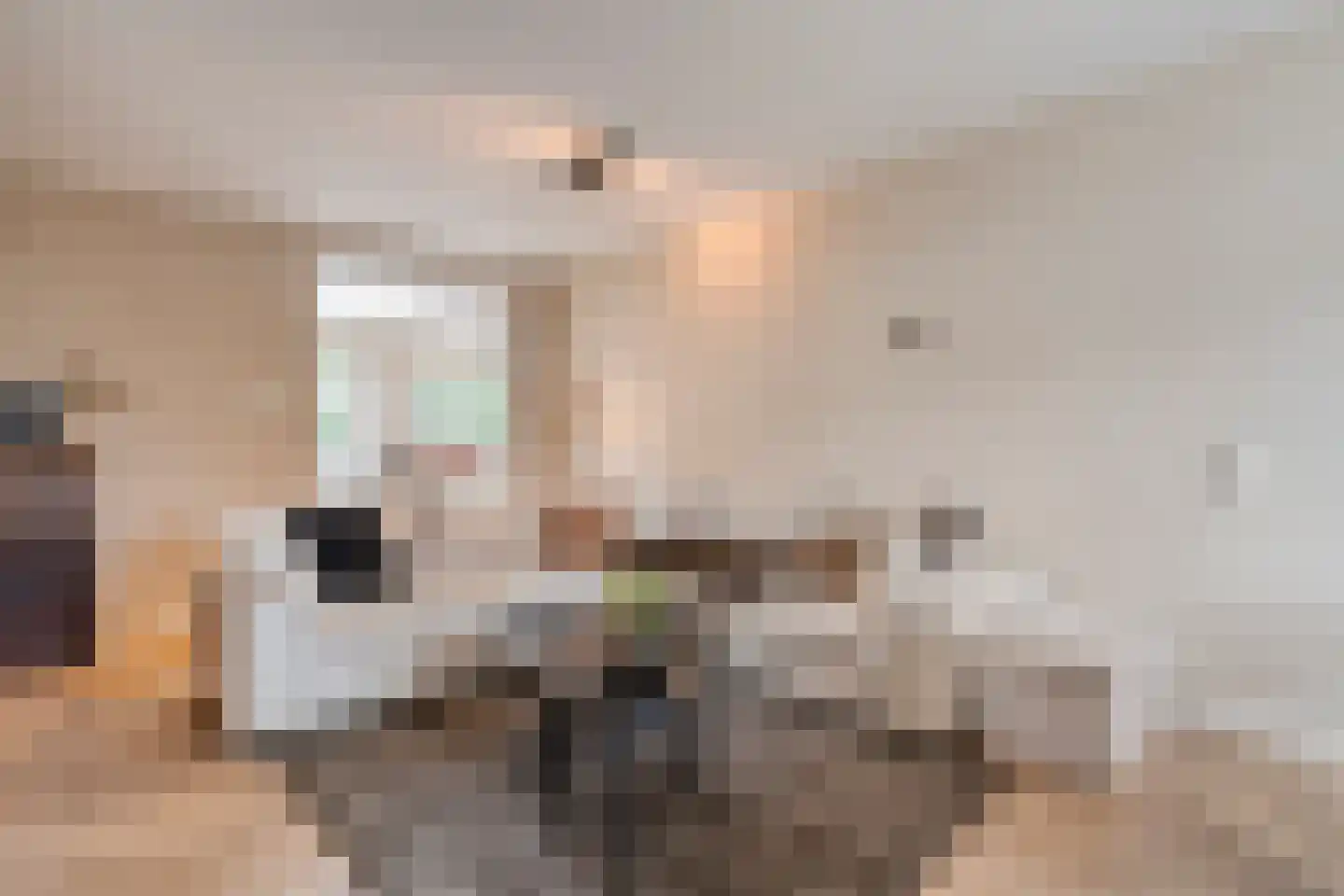 Meidoornplein 20 Zwolle thumbnail 5