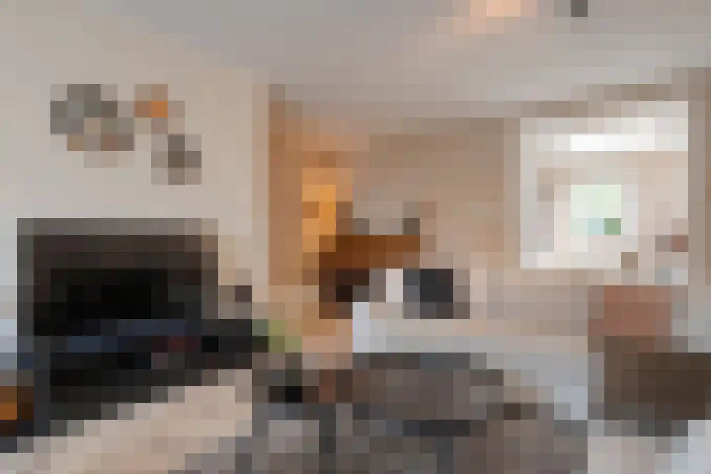 Meidoornplein 20 Zwolle thumbnail 8