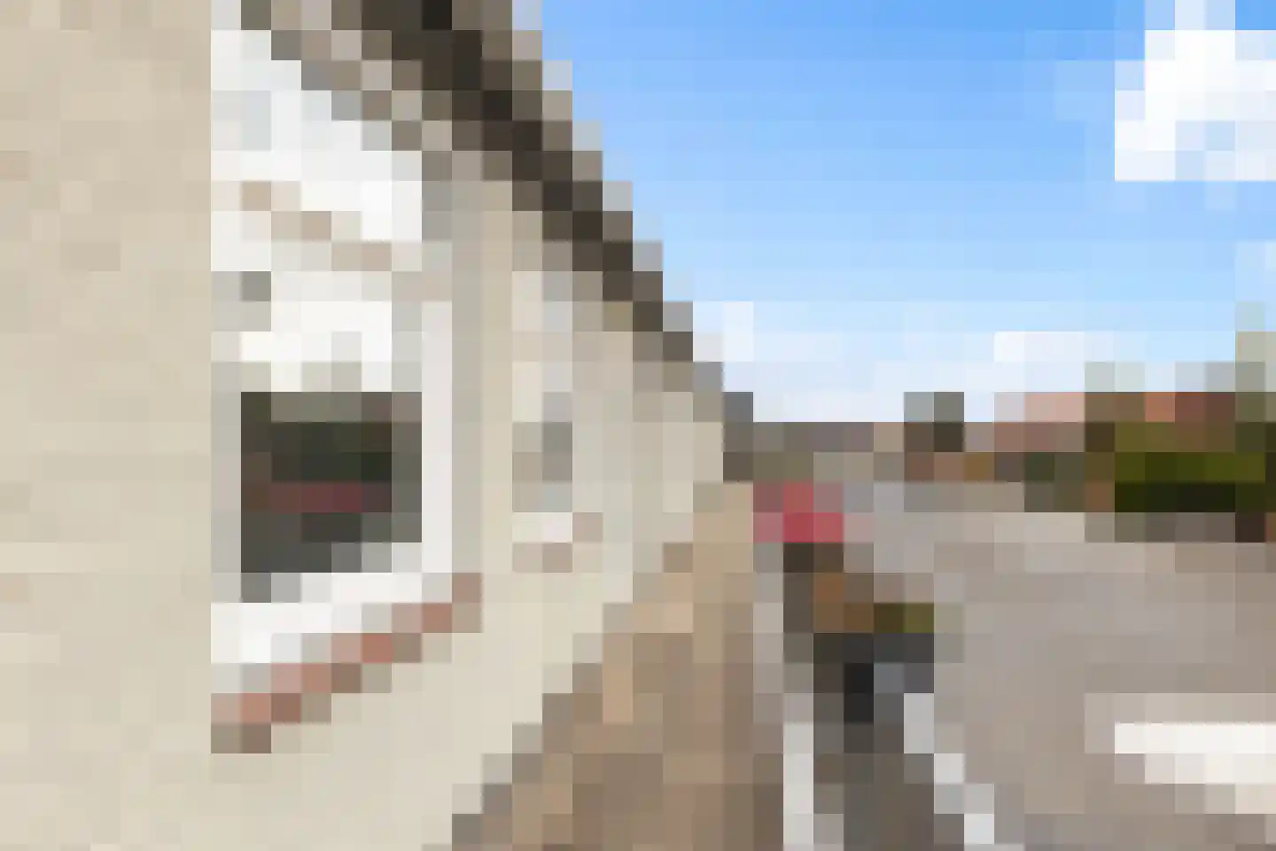 Meidoornplein 25 Wezep thumbnail 13