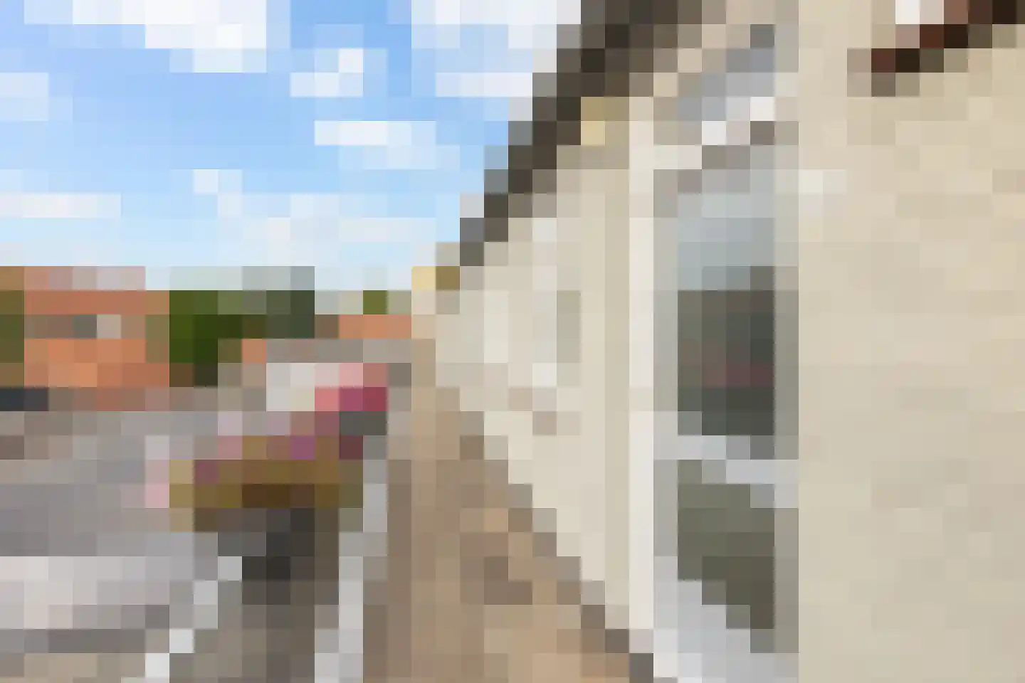 Meidoornplein 25 Wezep thumbnail 14