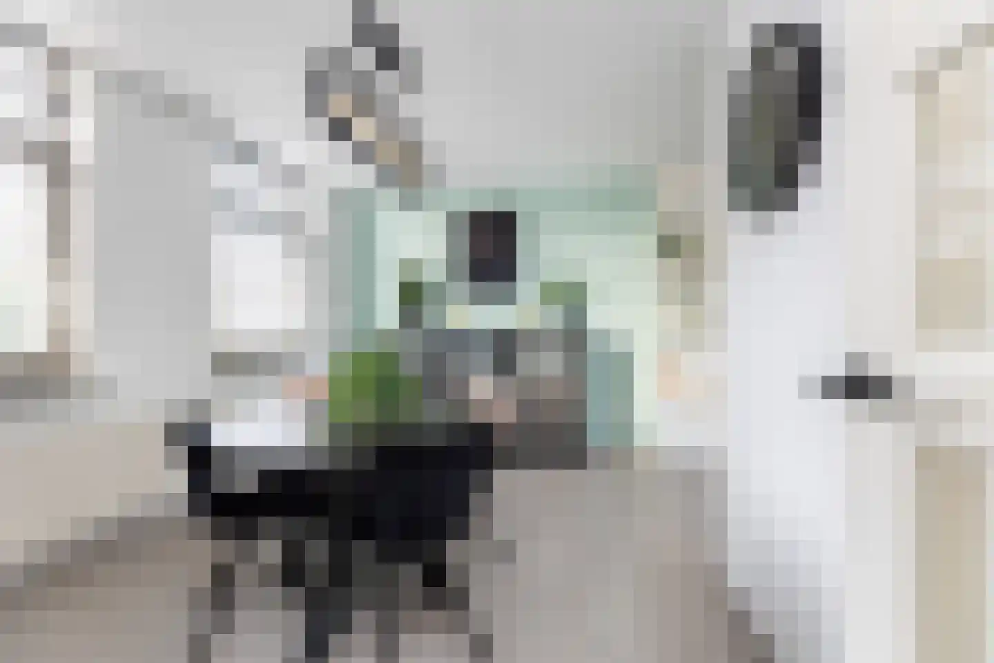 Meidoornplein 25 Wezep thumbnail 25