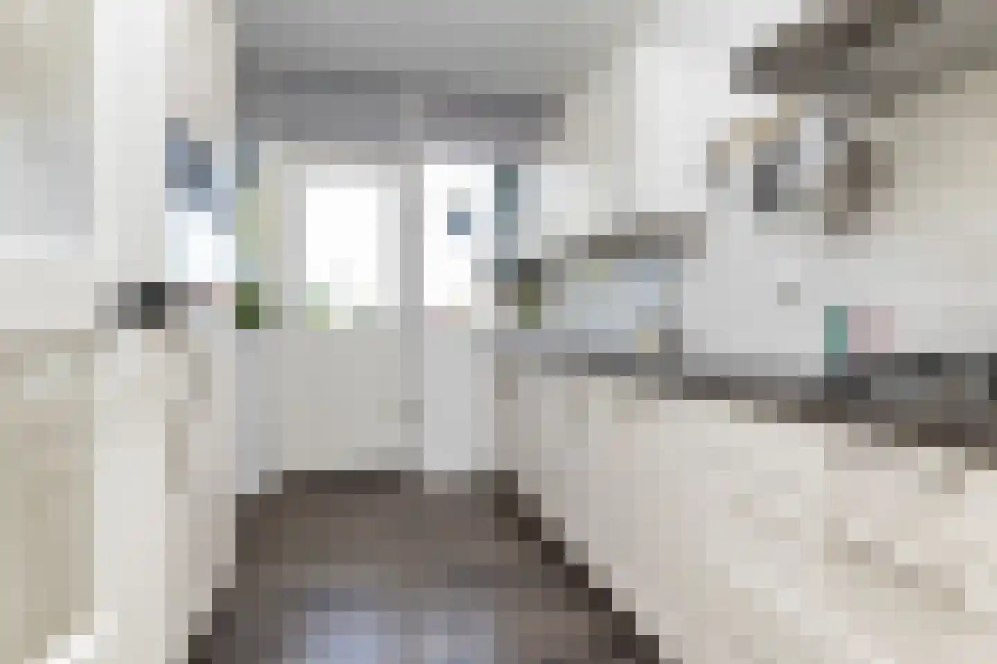Meidoornplein 25 Wezep thumbnail 27