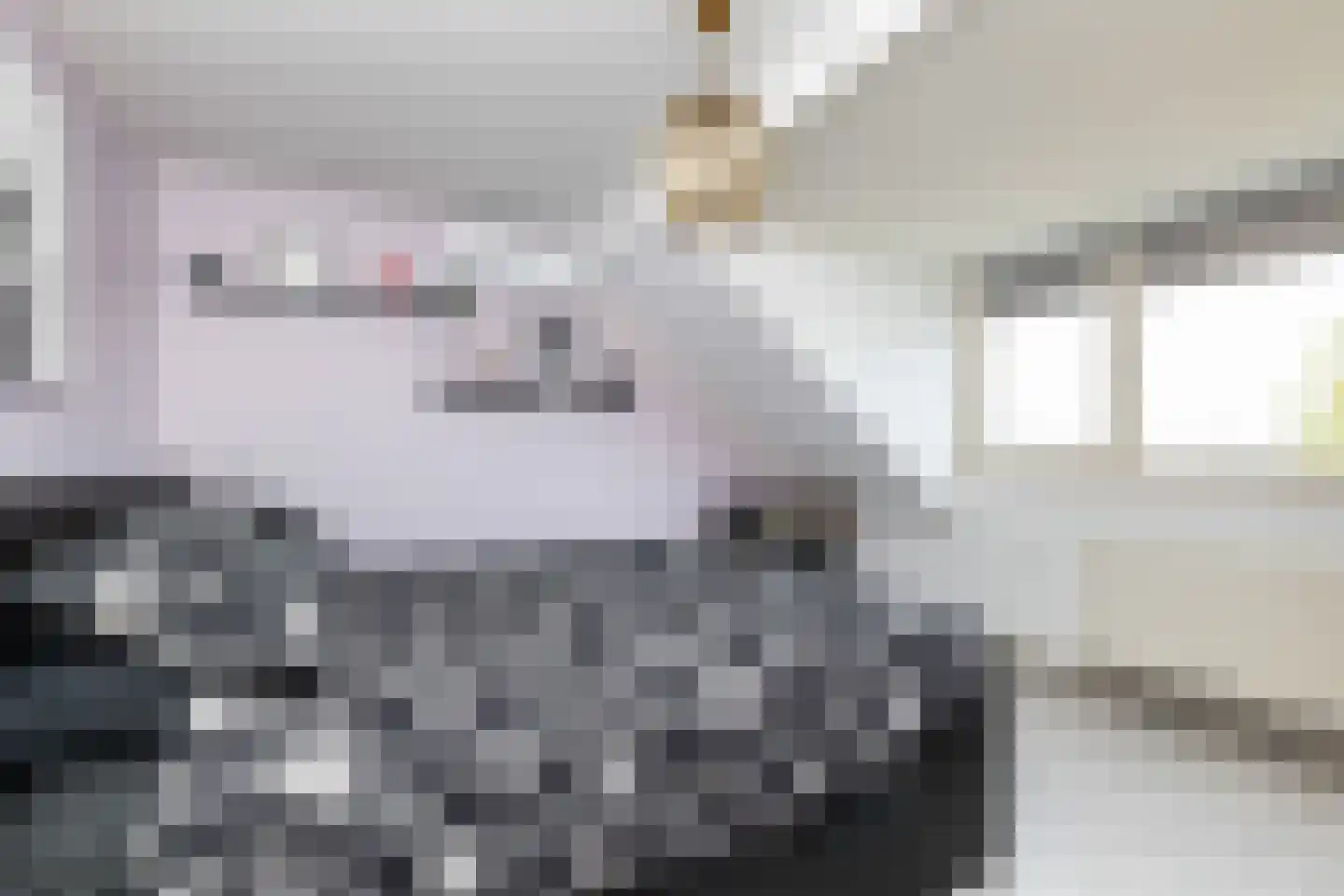 Meidoornplein 25 Wezep thumbnail 32