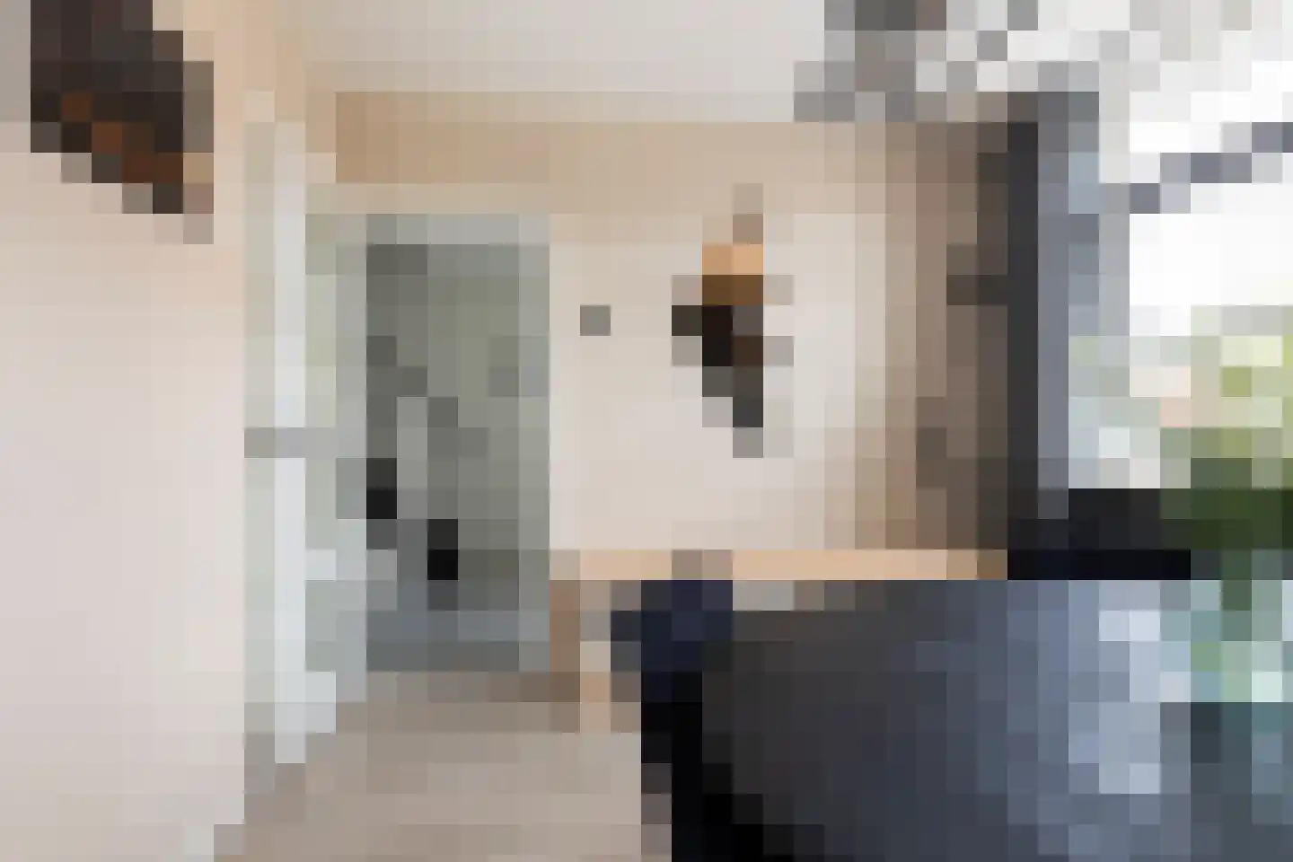 Meidoornplein 35 Wezep thumbnail 25