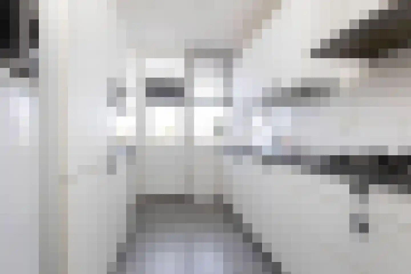 Meidoornplein 35 Wezep thumbnail 27