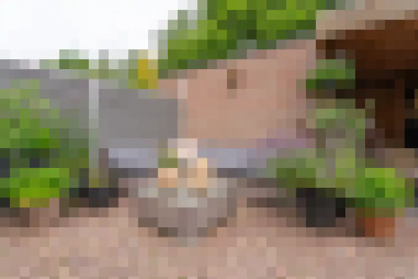 Meidoornrode 85 Voorhout thumbnail 30