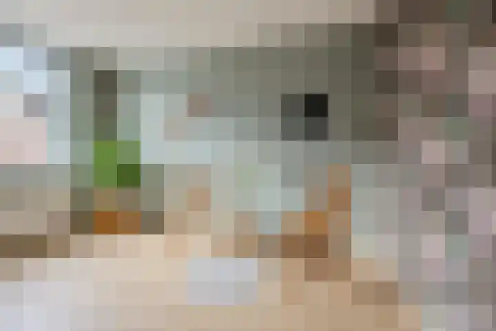 Meidoornrode 95 Voorhout thumbnail 20