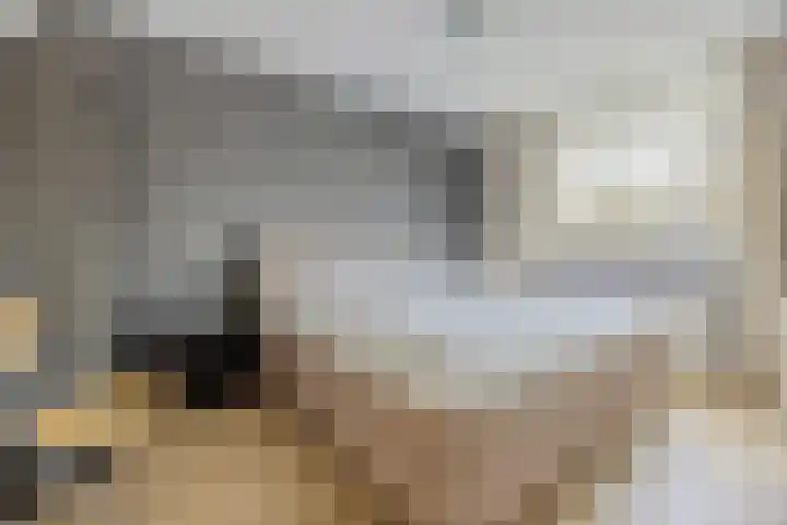 Meidoornrode 95 Voorhout thumbnail 22