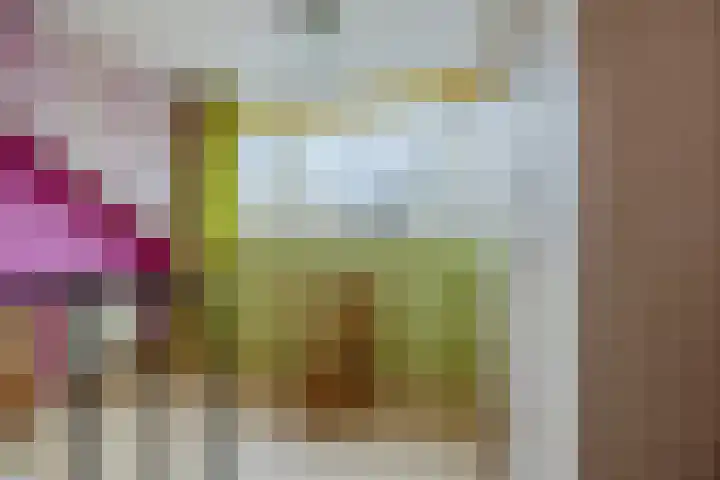 Meidoornrode 95 Voorhout thumbnail 30