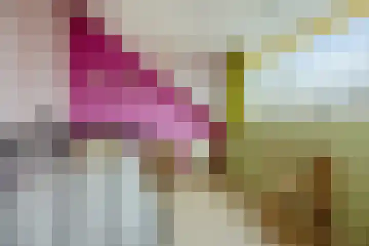 Meidoornrode 95 Voorhout thumbnail 31